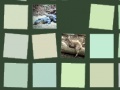 게임 Memory: Animals