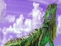 게임 Puzzle: Lizard