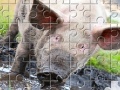 게임 Little Piggy Jigsaw