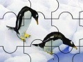 게임 Two penguin in the pole puzzle