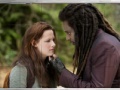 게임 Swing and set the twilight saga new moon