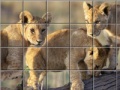 게임 Swing and set african cats