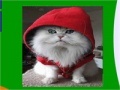 게임 Hooded cat slide puzzle
