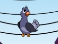 게임 Electric Pigeon
