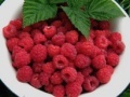 게임 Raspberry puzzle 