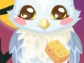 게임 Owl Care