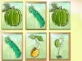 게임 Fruit Match