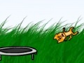 게임 Kitten Cannon