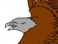 게임 Birds Coloring Book