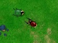 게임 Beetle Wars