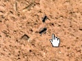 게임 Ant Splat