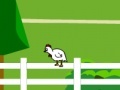 게임 Chicken Impossible