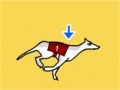 게임 Greyhound Racer DX