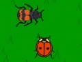 게임 The lady bug