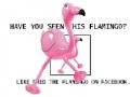 게임 Flamingo