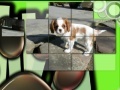게임 Pretty Puppies Puzzles